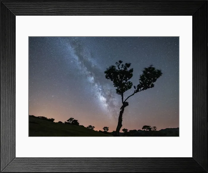 Framed Print : Lone tree under the bright Milky Way at night, forest of Fanal, Madeira island, Portugal Framed Print : Lone tree under the bright Milky Way at night, forest of Fanal, Madeira island, Portugal