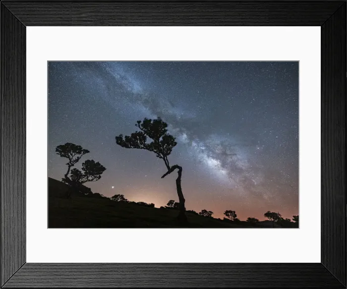 Framed Print : Milky Way on tree silhouettes in Fanal forest, Madeira island, Portugal, Atlantic, Europe Framed Print : Milky Way on tree silhouettes in Fanal forest, Madeira island, Portugal, Atlantic, Europe