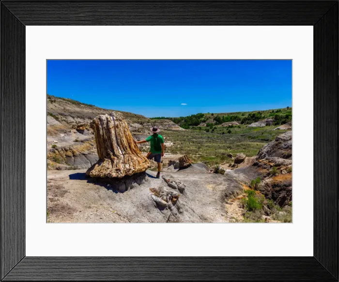 Framed Print : Man enjoying the view along The Petrified Forest Loop Trail inside Theodore Roosevelt Framed Print : Man enjoying the view along The Petrified Forest Loop Trail inside Theodore Roosevelt