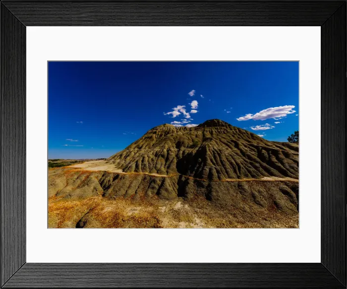 Framed Print : Beautiful sight on The Petrified Forest Loop Trail inside Theodore Roosevelt National Framed Print : Beautiful sight on The Petrified Forest Loop Trail inside Theodore Roosevelt National