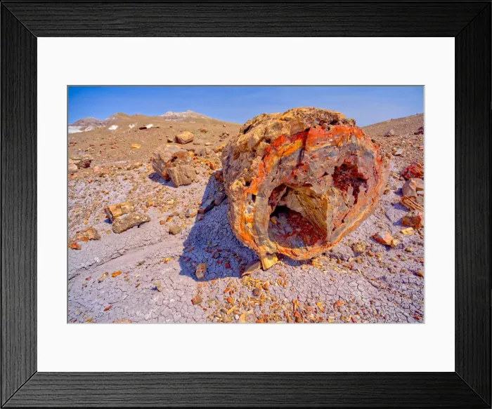 Framed Print : A giant petrified log on the Purple Peninsula in Petrified Forest National Park, Arizona Framed Print : A giant petrified log on the Purple Peninsula in Petrified Forest National Park, Arizona
