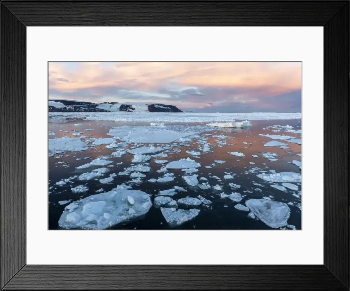 Framed Print : Sunset on first year sea ice near Cogburn Island, Weddell Sea, Antarctica, Polar Regions Framed Print : Sunset on first year sea ice near Cogburn Island, Weddell Sea, Antarctica, Polar Regions
