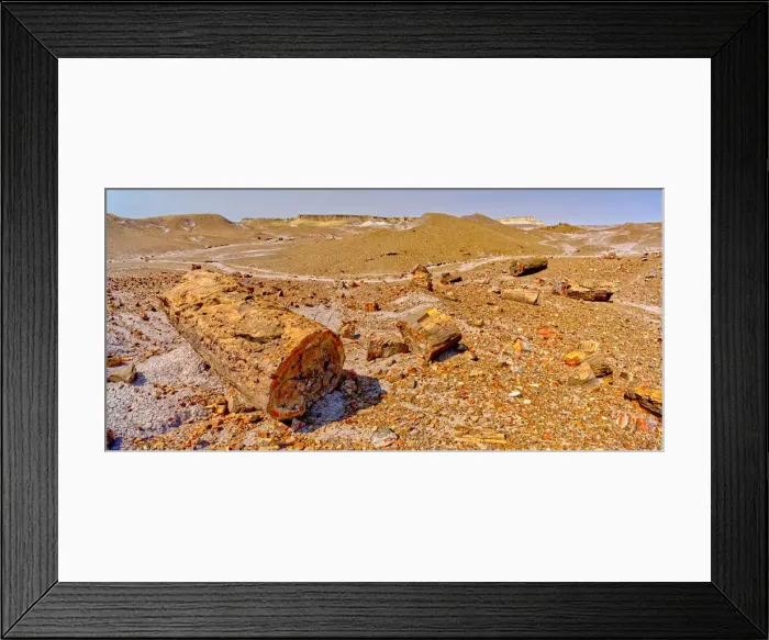 Framed Print : Giant petrified logs on the Purple Peninsula in Petrified Forest National Park, Arizona Framed Print : Giant petrified logs on the Purple Peninsula in Petrified Forest National Park, Arizona