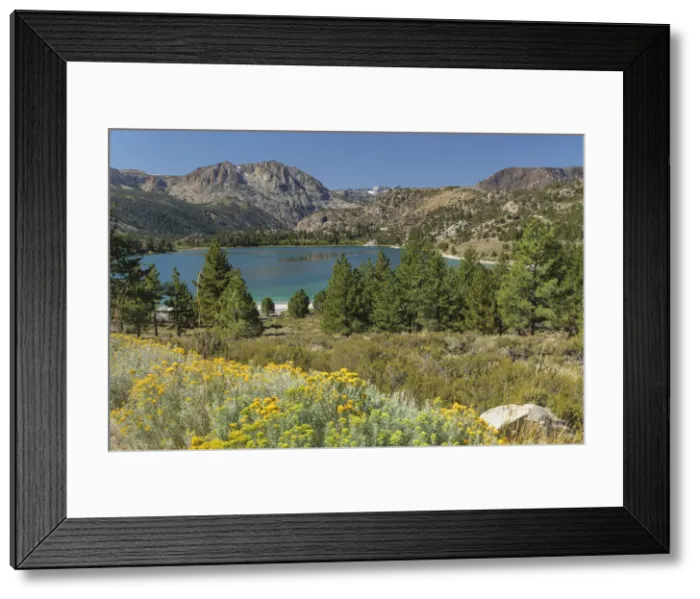 Framed Print : June Lake, Sierra Nevada, Mono County, California, United States of America Framed Print : June Lake, Sierra Nevada, Mono County, California, United States of America