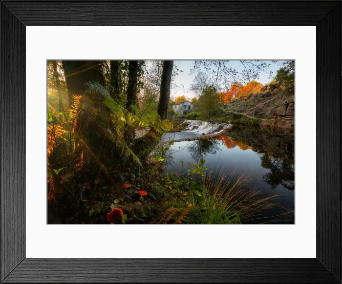 Framed Print : Natural landscape with red mushrooms with waterfall and water reflection at sunset in Framed Print : Natural landscape with red mushrooms with waterfall and water reflection at sunset in
