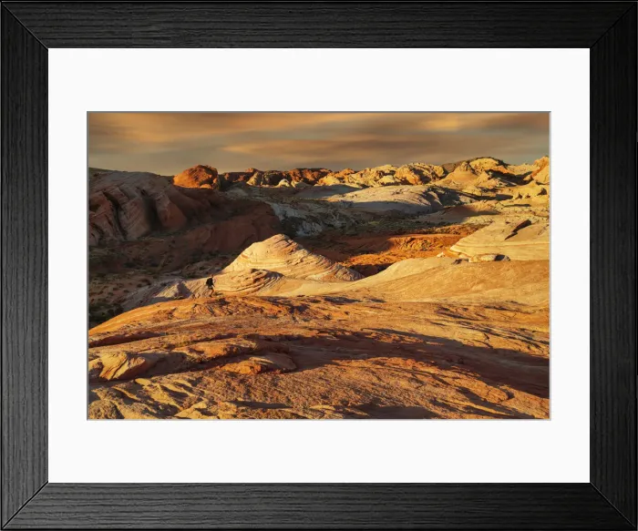 Framed Print : Fire Wave at sunset, Valley of Fire State Park, Nevada, United States of America Framed Print : Fire Wave at sunset, Valley of Fire State Park, Nevada, United States of America