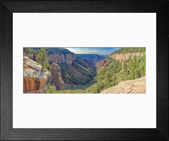 Framed Print : Bright Angel Canyon viewed from Coconino Overlook along North Kaibab Trail on Grand