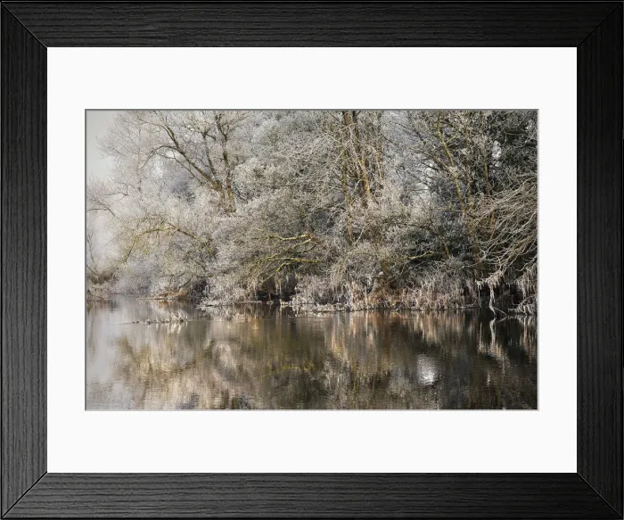 Framed Print : Frosted trees reflected in a calm river on a cloudy morning in County Galway, Connacht