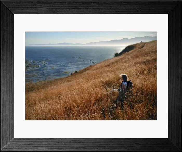 Framed Print : A young woman hiker rests in a wild grass field on the coast of New Zealand Framed Print : A young woman hiker rests in a wild grass field on the coast of New Zealand