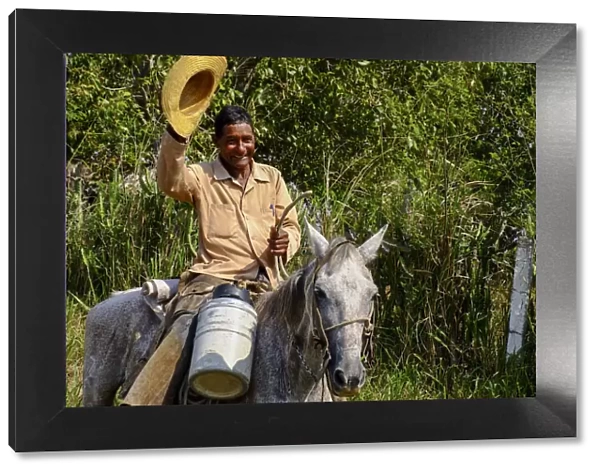 A cowboy on a mule waves his straw hat, Arimao, Cuba, West Indies, Central America
