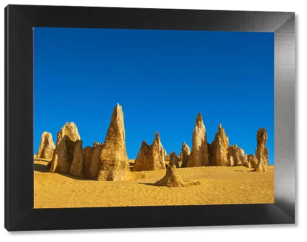 Pinnacles, rare limestone formations, dated around 30000 years old, Nambung National Park