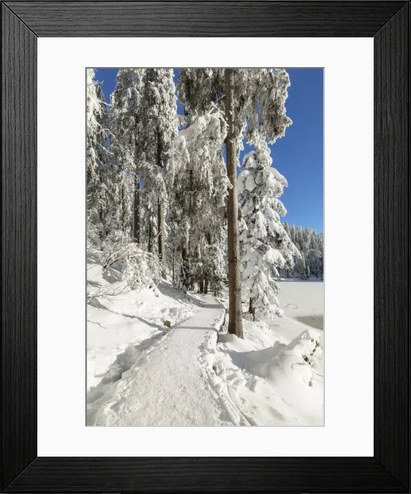 Framed Print : Mummelsee Lake in winter, Black Forest, Baden Wurttemberg, Germany, Europe Framed Print : Mummelsee Lake in winter, Black Forest, Baden Wurttemberg, Germany, Europe