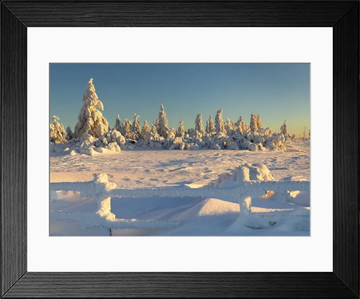 Framed Print : Sunrise at Schliffkopf mountain in winter, Black Forest, Baden Wurttemberg, Germany Framed Print : Sunrise at Schliffkopf mountain in winter, Black Forest, Baden Wurttemberg, Germany