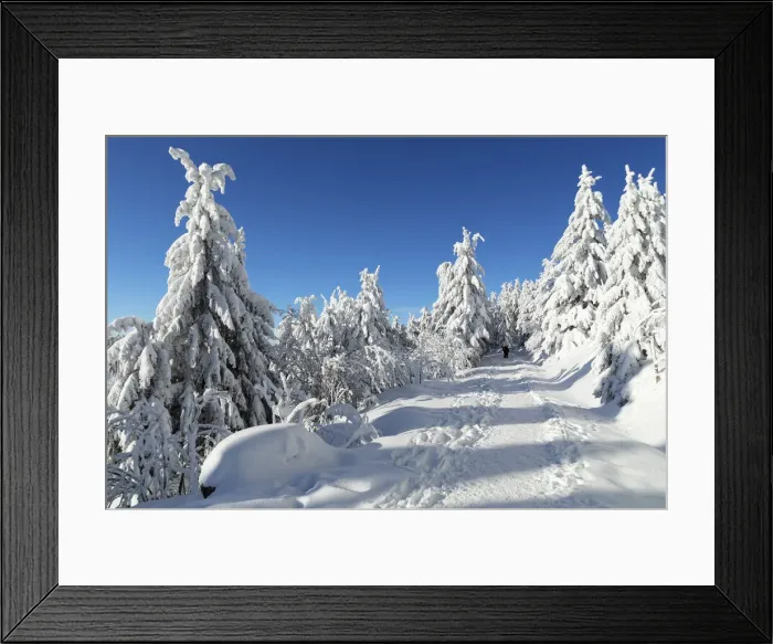 Framed Print : Hiking trail in winter, Hornisgrinde mountain, Black Forest, Baden Wurttemberg, Germany Framed Print : Hiking trail in winter, Hornisgrinde mountain, Black Forest, Baden Wurttemberg, Germany