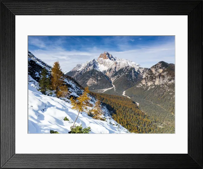 Framed Print : Croda Rossa d Ampezzo mountain surrounded by larch tree forest in autumn, Dolomites Framed Print : Croda Rossa d Ampezzo mountain surrounded by larch tree forest in autumn, Dolomites