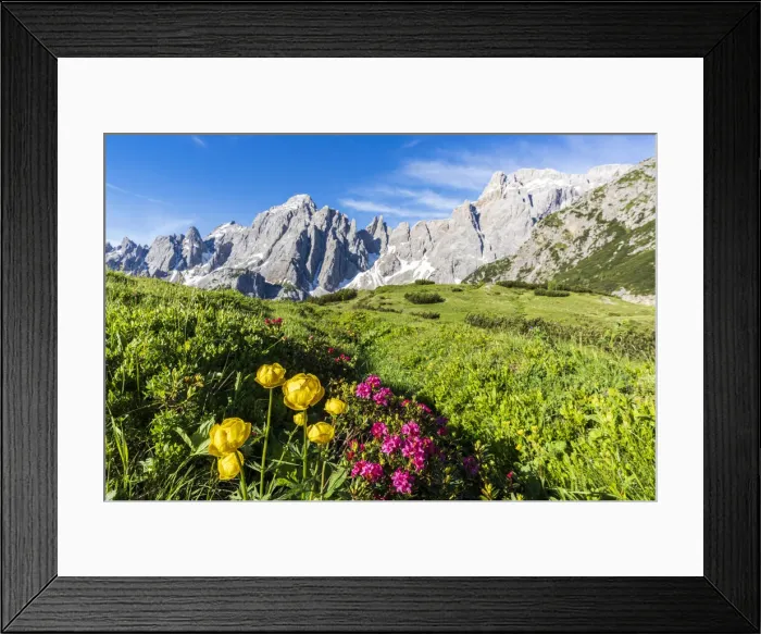 Framed Print : Cima dei Colesei and Popera group surrounded by rhododendrons in bloom, Comelico Framed Print : Cima dei Colesei and Popera group surrounded by rhododendrons in bloom, Comelico