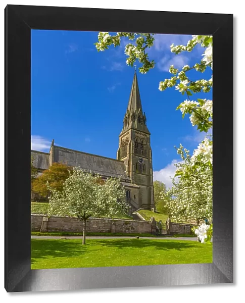View of St. Peters Church and spring blossom, Edensor Village, Chatsworth Park
