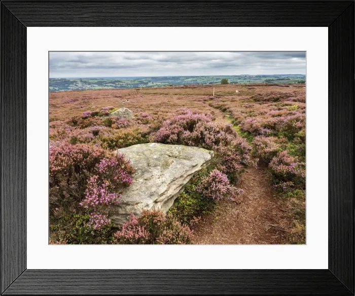 Framed Print : The Nidderdale Way near Pateley Bridge, Yorkshire, England, United Kingdom, Europe Framed Print : The Nidderdale Way near Pateley Bridge, Yorkshire, England, United Kingdom, Europe