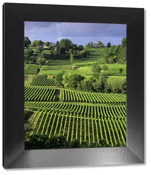 View over vineyards, Saint Emilion, Nouvelle Aquitaine, France, Europe