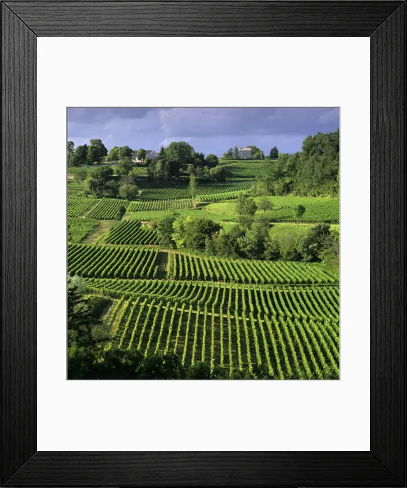 Framed Print : View over vineyards, Saint Emilion, Nouvelle Aquitaine, France, Europe Framed Print : View over vineyards, Saint Emilion, Nouvelle Aquitaine, France, Europe