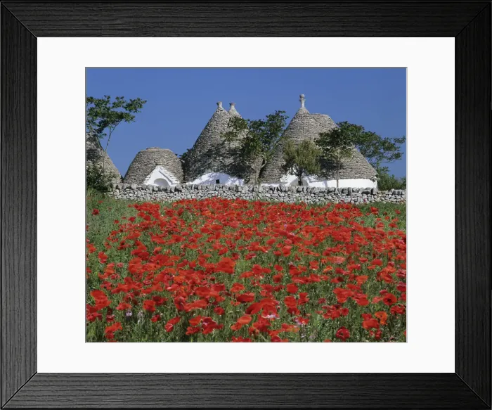 Framed Print : Trulli houses with red poppy field in foreground, near Alberobello, Apulia, Italy, Europe