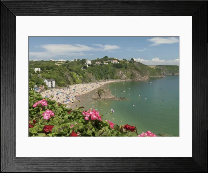 Framed Print : Tenby, North Beach, Pembrokeshire, Wales, United Kingdom, Europe Framed Print : Tenby, North Beach, Pembrokeshire, Wales, United Kingdom, Europe