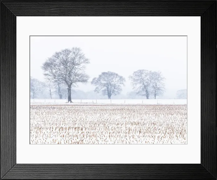 Framed Print : Trees in the field, Darlands Nature Reserve, Borough of Barnet, London, England Framed Print : Trees in the field, Darlands Nature Reserve, Borough of Barnet, London, England