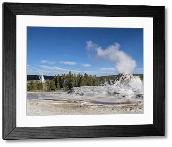 Framed Print : Castle Geyser steaming, with Old Faithful erupting behind, in Yellowstone National Park Framed Print : Castle Geyser steaming, with Old Faithful erupting behind, in Yellowstone National Park