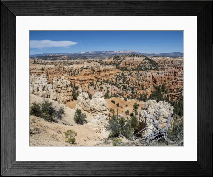 Framed Print : A view of the hoodoos from the Fairyland Trail in Bryce Canyon National Park, Utah Framed Print : A view of the hoodoos from the Fairyland Trail in Bryce Canyon National Park, Utah