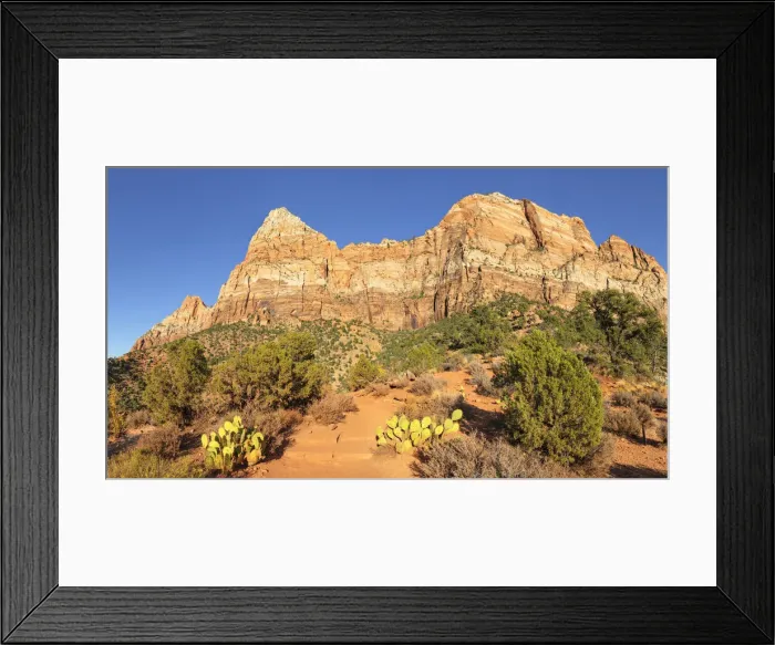 Framed Print : Watchman Mountain, Zion National Park, Colorado Plateau, Utah, United States of America Framed Print : Watchman Mountain, Zion National Park, Colorado Plateau, Utah, United States of America