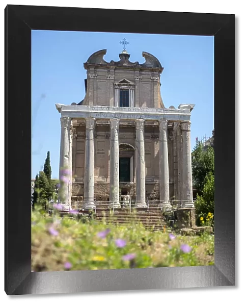 Temple of Antoninus and Faustina, Roman Forum, UNESCO World Heritage Site, Rome, Lazio
