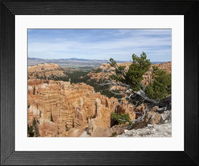 Framed Print : A view of the Bryce amphitheater from the rim at Bryce Canyon National Park, Utah Framed Print : A view of the Bryce amphitheater from the rim at Bryce Canyon National Park, Utah