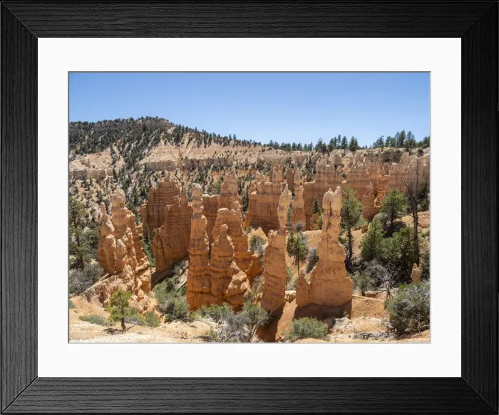 Framed Print : A view of the hoodoos from the Fairyland Trail in Bryce Canyon National Park, Utah Framed Print : A view of the hoodoos from the Fairyland Trail in Bryce Canyon National Park, Utah