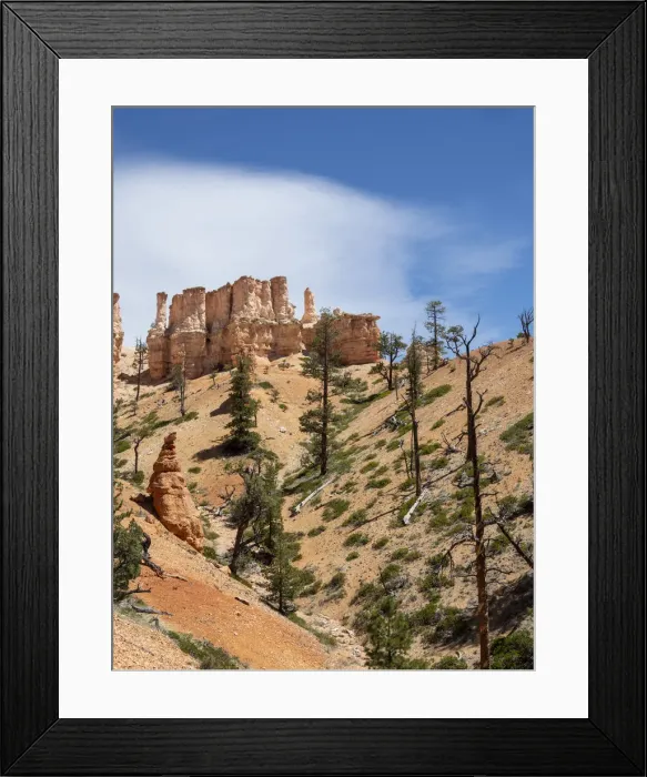 Framed Print : A view of the hoodoos from the Fairyland Trail in Bryce Canyon National Park, Utah Framed Print : A view of the hoodoos from the Fairyland Trail in Bryce Canyon National Park, Utah