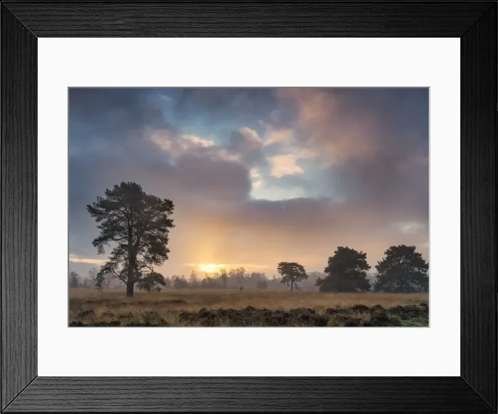 Framed Print : Strensall Common Lowland Heath Nature Reserve near York, North Yorkshire, Yorkshire Framed Print : Strensall Common Lowland Heath Nature Reserve near York, North Yorkshire, Yorkshire