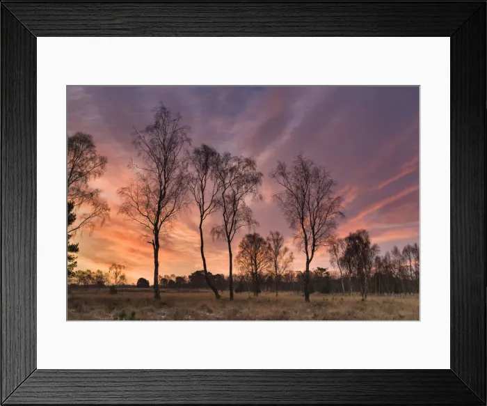 Framed Print : Strensall Common Nature Reserve in mid-winter, North Yorkshire, England, United Kingdom Framed Print : Strensall Common Nature Reserve in mid-winter, North Yorkshire, England, United Kingdom