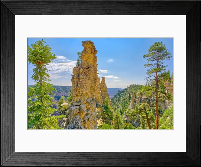 Framed Print : Large rock spires on the cliff of Transept Canyon along the Widforss Trail at Grand Framed Print : Large rock spires on the cliff of Transept Canyon along the Widforss Trail at Grand