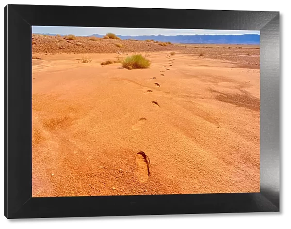 Human footprints in soft sand near the Upper Soap Creek Bench in the Vermilion Cliffs