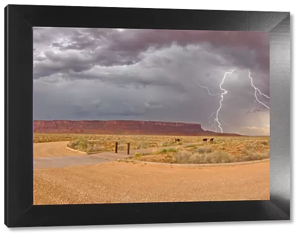 Lightning storm rolling into Vermilion Cliffs National Monument viewed from Dominguez