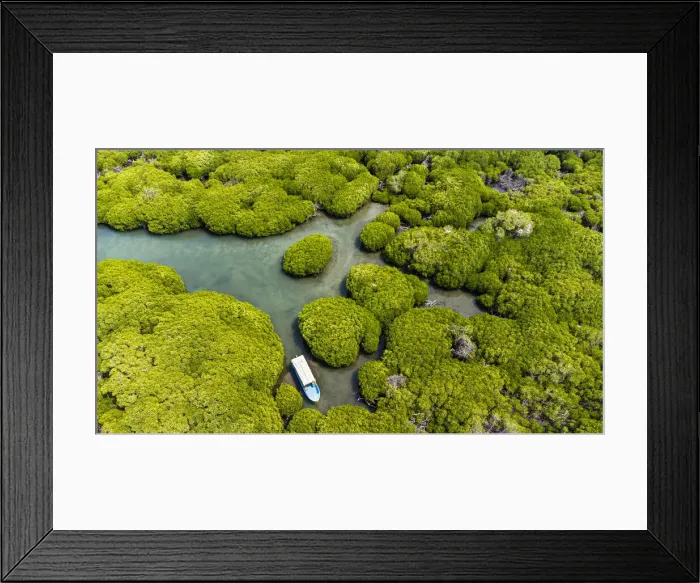 Framed Print : Aerial of the Mangrove forest, Farasan islands, Kingdom of Saudi Arabia, Middle East Framed Print : Aerial of the Mangrove forest, Farasan islands, Kingdom of Saudi Arabia, Middle East