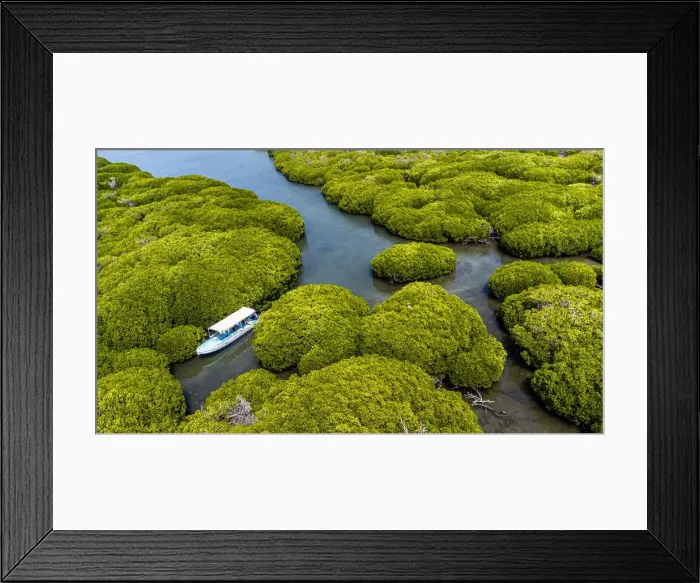 Framed Print : Aerial of the Mangrove forest, Farasan islands, Kingdom of Saudi Arabia, Middle East Framed Print : Aerial of the Mangrove forest, Farasan islands, Kingdom of Saudi Arabia, Middle East
