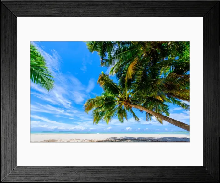 Framed Print : Coconut palms, Scout Park Beach, Cocos (Keeling) Islands, Indian Ocean, Asia Framed Print : Coconut palms, Scout Park Beach, Cocos (Keeling) Islands, Indian Ocean, Asia