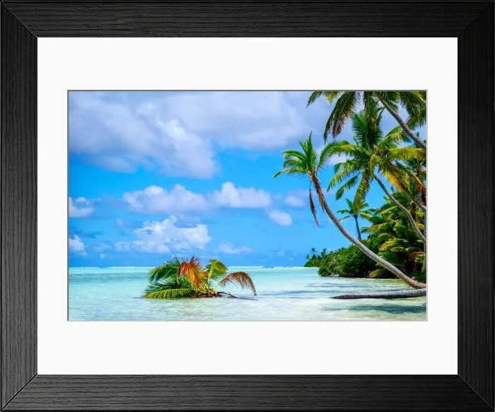 Framed Print : Palm trees edging, Scout Park Beach, Cocos (Keeling) Islands, Indian Ocean, Asia Framed Print : Palm trees edging, Scout Park Beach, Cocos (Keeling) Islands, Indian Ocean, Asia
