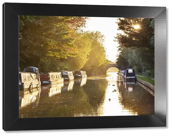 Narrowboats moored on the Kennet and Avon Canal at sunset, Kintbury, Berkshire, England