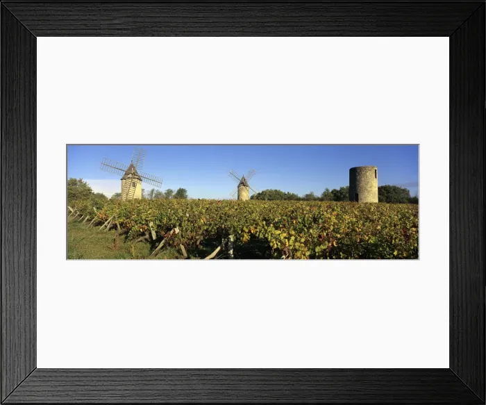 Framed Print : Windmills of Calon set in autumnal vineyard below a blue sky, Montagne Framed Print : Windmills of Calon set in autumnal vineyard below a blue sky, Montagne