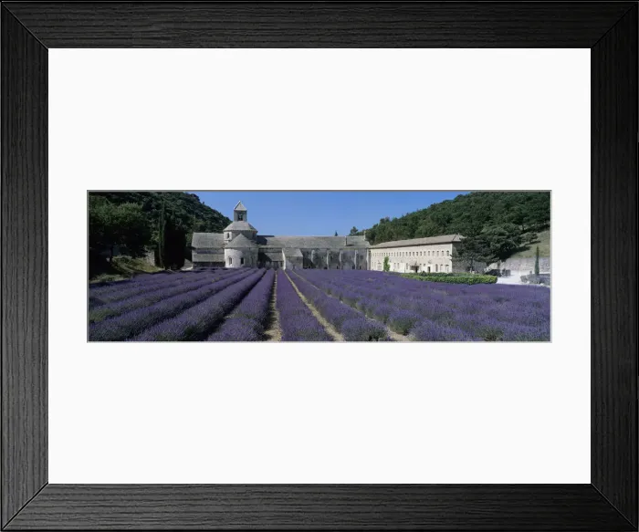 Framed Print : Abbaye de Senanque with purple lavender in foreground, Gordes, Vaucluse Department Framed Print : Abbaye de Senanque with purple lavender in foreground, Gordes, Vaucluse Department