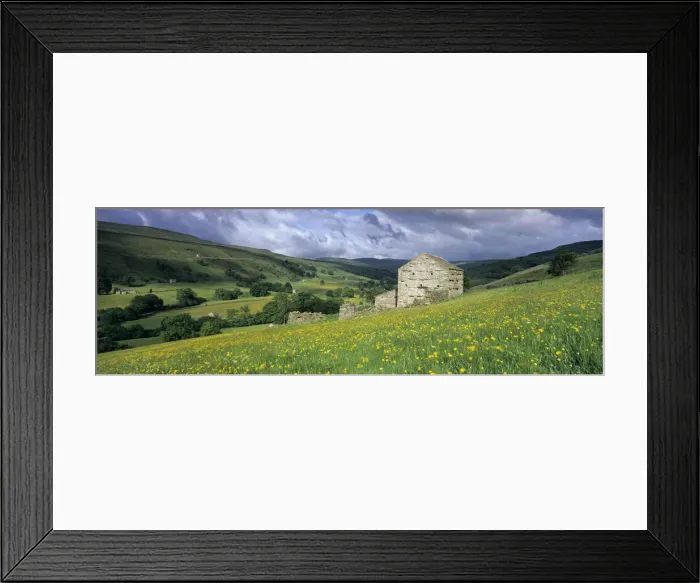 Framed Print : Traditional stone barn and buttercup meadow in Swaledale with stormy sky, Gunnerside Framed Print : Traditional stone barn and buttercup meadow in Swaledale with stormy sky, Gunnerside
