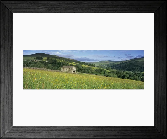 Framed Print : Traditional stone barn in yellow buttercup meadow in Swaledale, Gunnerside Framed Print : Traditional stone barn in yellow buttercup meadow in Swaledale, Gunnerside