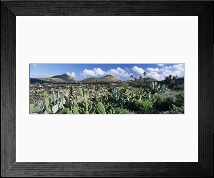 Framed Print : View over the volcanic landscape of Parque Natural de Los Volcanes, La Geria, Lanzarote Framed Print : View over the volcanic landscape of Parque Natural de Los Volcanes, La Geria, Lanzarote