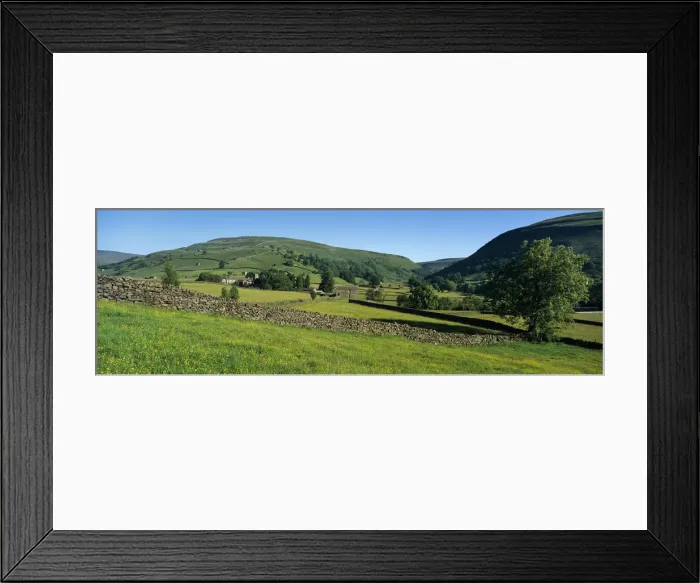 Framed Print : Yellow buttercup meadow with stone wall and typical landscape in Swaledale, Gunnerside Framed Print : Yellow buttercup meadow with stone wall and typical landscape in Swaledale, Gunnerside